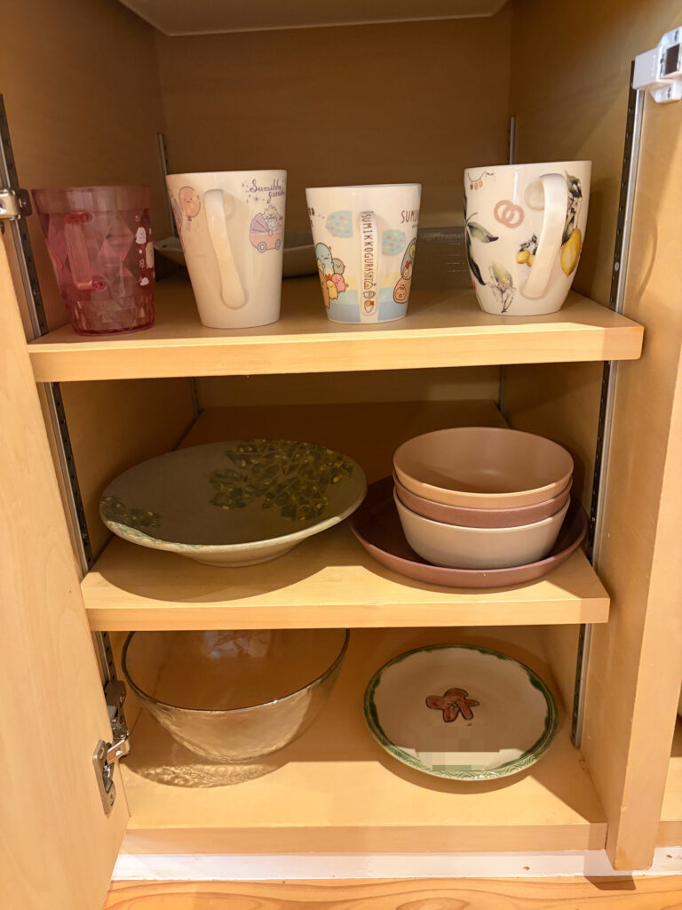 開き戸左側収納